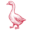 foie gras
