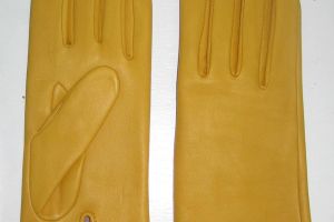 agnelle-presentation