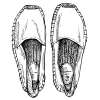 espadrilles