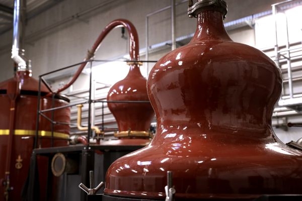 wp-content/uploads/2026/07/Distillerie_2-scaled.jpg