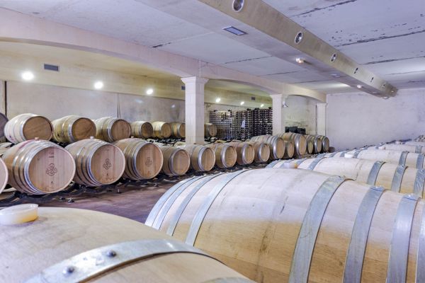 wp-content/uploads/2026/10/Domaine-du-Grand-Mayne-23-1-scaled.jpg