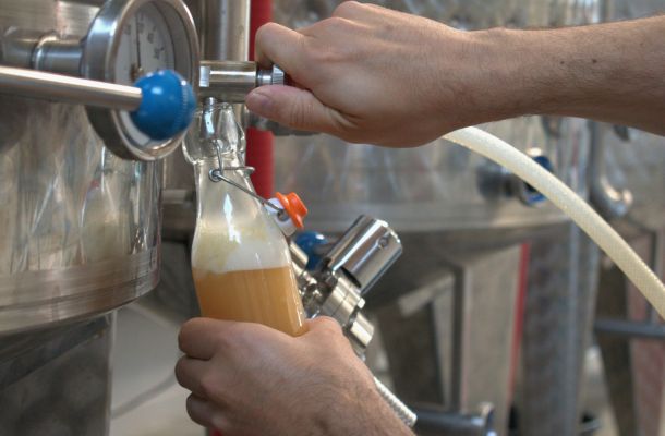 Brassage de bière