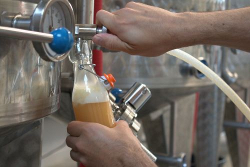 Brassage de bière